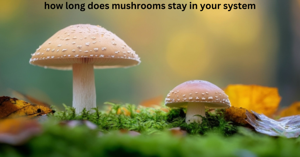 how long does mushrooms stay in your system